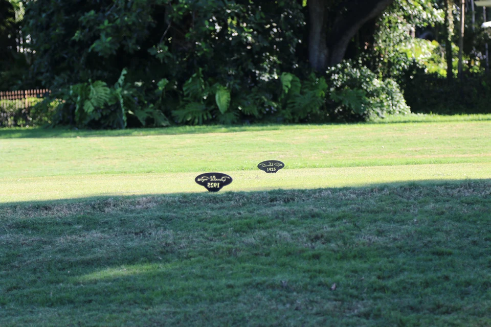STEP Miami 2026 · Golf — IMG_6510